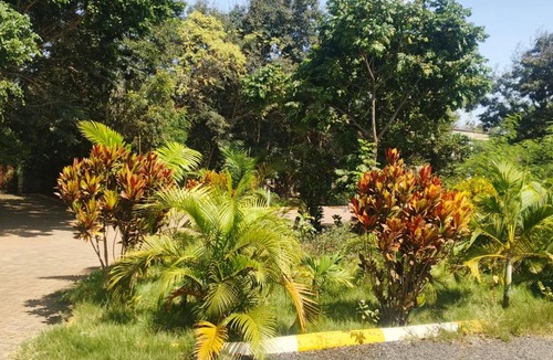 Sultan Hamud Bed & Breakfast | Emmanuel Fountain Hotel Sultan Hamud