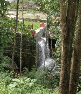 Salem House | Enchanting woods Yercaud