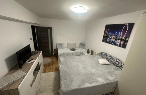 Oradea Apartment | ENE Apart Oradea free parking