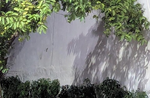 Darbhanga Villa | Entire Villa in Darbhanga