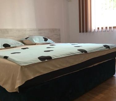 Baile Herculane Apartment | Eric one