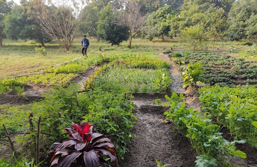 Belparao House | Escape to Nature: Tranquil Homestay on the Edge of the Forest in Uttarakhand.