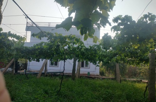 Chikkaballapur House | Escape toTranquility, Experience the Rustic Charm of Rediscover Nature's Embrace