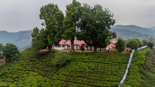 Wellington House | Estate Bungalow with Waterfall, Mountain & Valley Views