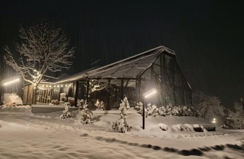 Risca Resort | Evergreen Retreat