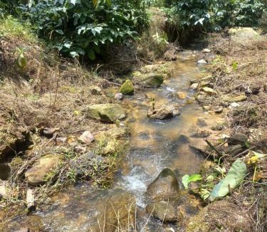 Sangameswarpet House | Experience being lost in wild