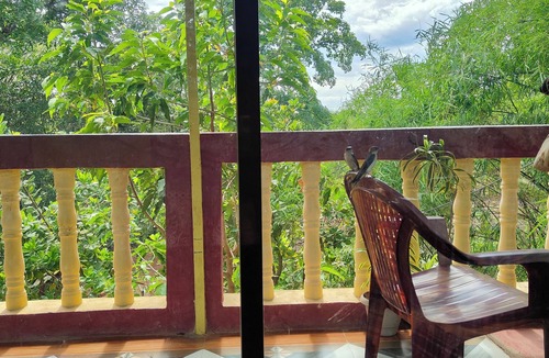 Malgund House | Family friendly homestay in forest just five minutes away from arabian ocean.