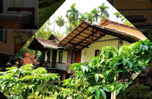 Vayittiri Apartment | Family villa .hut
