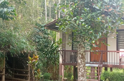 Vayittiri Villa | Family villa is a hut style accommodation