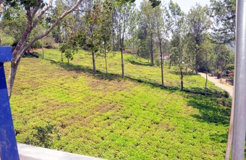 Kotagiri Bed & Breakfast | Franc Villa - Kothagiri