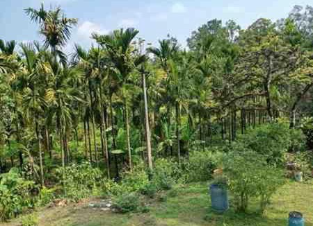 Sringeri House | Gandagatta Home Stay