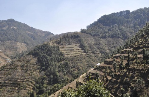 Kempty Range Hotel | Garden Cottage, Dhanaulti