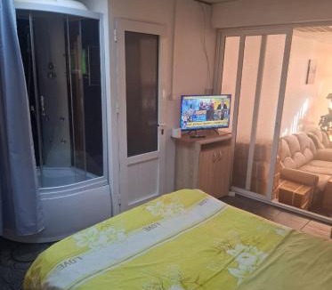 Alba Iulia Apartment | Garsoniera Del Dodo