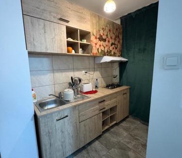 Drobeta-Turnu Severin Apartment | Garsoniera