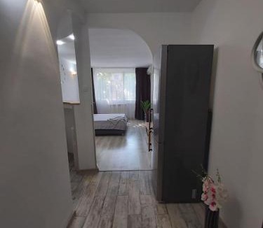 Galati Apartment | Garsoniera tiglina1