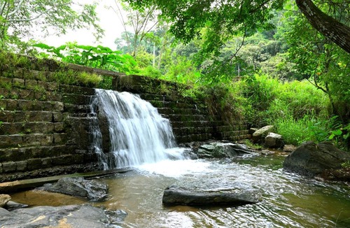 Chikkamagaluru House | Giri Darshini Homestay - 3BH, Simple Rooms with Pool & Private Falls