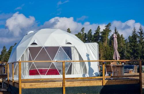 Toplita Other | Glamping 4 us