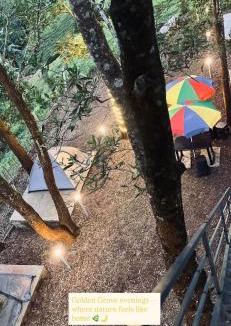Udumbanchola Other | Golden Grove Treetops