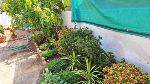 Gokulam House | Golden Nest Home Stay