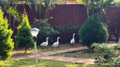 Kuilapalayam Villa | Gravity Groups Core - Sun Resort
