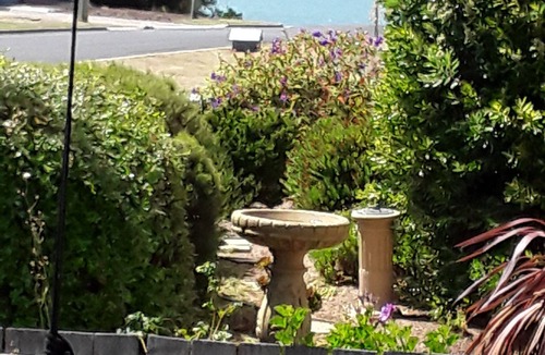Swansea Cottage | Great accommodation. Full bath, Quiet area. House to yourself & close beaches.