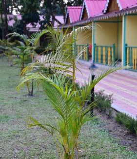 Lataguri Apartment | Green Forest Resort