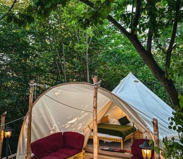 Porumbacu de Jos Other | Green Hill Lodge