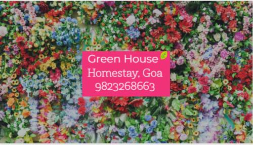 Mandrem House | Green House Stay