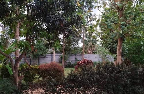 Shrirangapattana Resort | Green Island Nature Stay