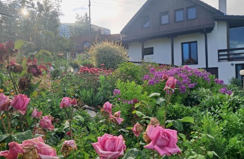 Izvoru Muresului House | Green Valley Guesthouse