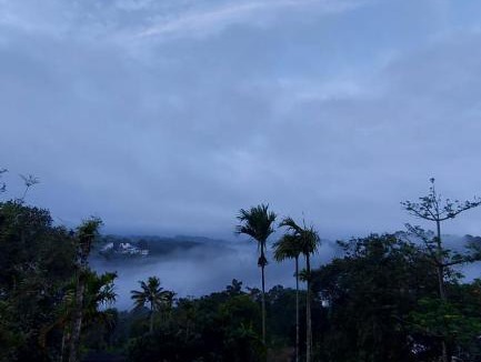 Chithirapuram Bed & Breakfast | greenpepperhomestay munnar