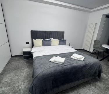 Braila Apartment | Grey Serenity