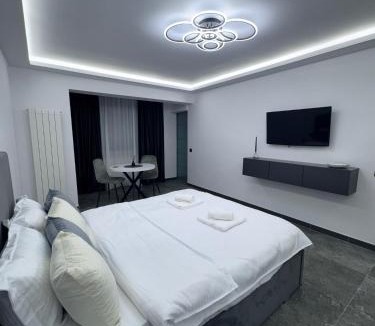 Braila Apartment | Grey Serenity