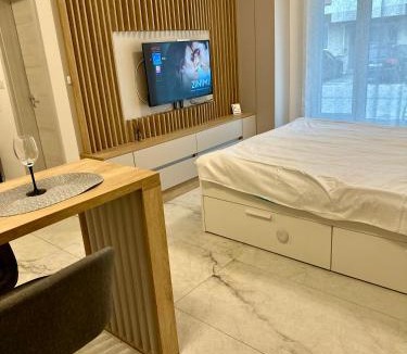 Giroc Apartment | Ground Floor Studio