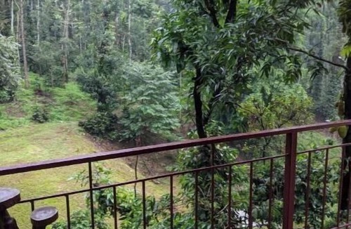 Chikkamagaluru Apartment | Guddadamane Homestay Estate View Room
