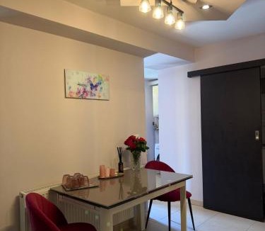 Lugoj Apartment | GZP Residence Lugoj 6