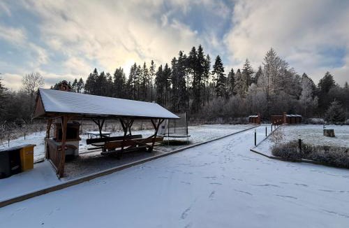 Manastirea Humorului Ski Chalet | Hașca Chalet