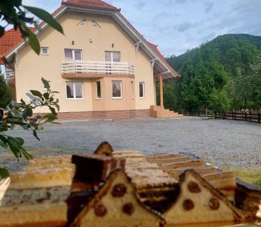 Praid House | Halasto Pension