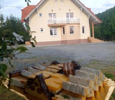 Praid House | Halasto Pension