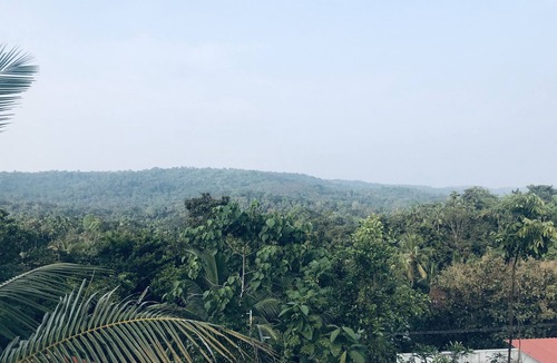 Thalassery House | HANNA HOMESTAY Our place is full of nature