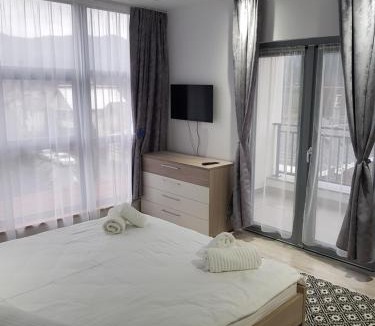 Viseu de Sus Apartment | Happy Residence