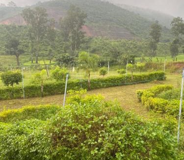 Paderu Other | Happy Valley Araku
