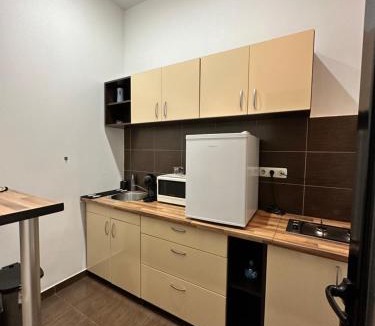 Old City Apartment | Harmony Homes- Piața Unirii Central Apartament