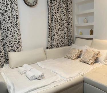 Old City Apartment | Harmony Homes- Piața Unirii Central Apartament