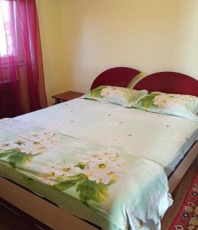 Sighetu Marmatiei Apartment | Harta in cui