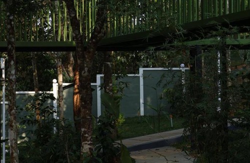 Chooralmala Resort | Hayashi Resort