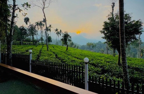 Chooralmala Resort | Hayashi Resort