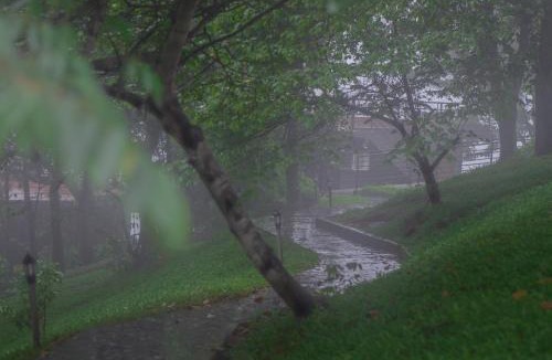 Devikolam Resort | Haze and Kites Resort Munnar