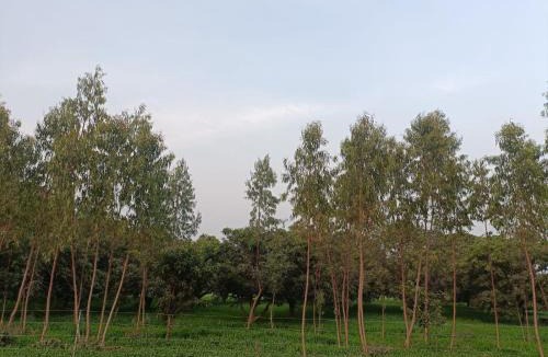 Haldwani Villa | Hazel Haven