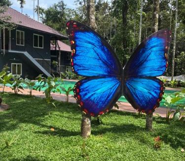 Krishnagiri Villa | Hidden Bliss Group Retreat Pool Villa